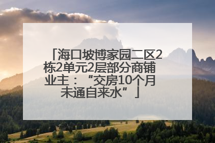海口坡博家园二区2栋2单元2层部分商铺业主：“交房10个月未通自来水”