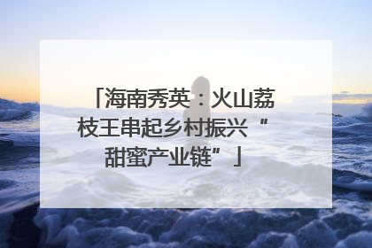 海南秀英：火山荔枝王串起乡村振兴“甜蜜产业链”