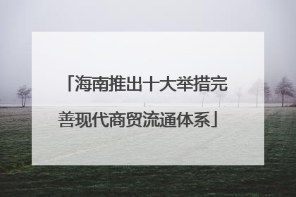 海南推出十大举措完善现代商贸流通体系
