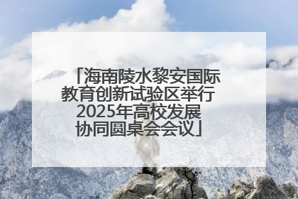 海南陵水黎安国际教育创新试验区举行2025年高校发展协同圆桌会会议