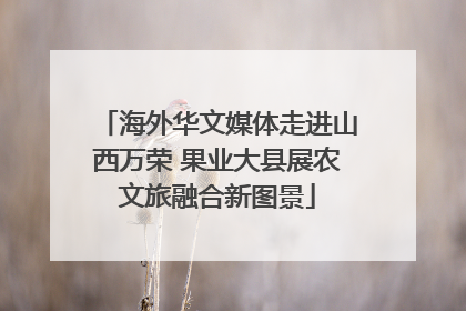 海外华文媒体走进山西万荣 果业大县展农文旅融合新图景