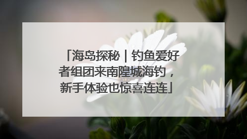 海岛探秘｜钓鱼爱好者组团来南隍城海钓，新手体验也惊喜连连
