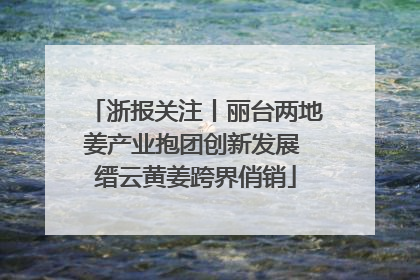 浙报关注丨丽台两地姜产业抱团创新发展 缙云黄姜跨界俏销