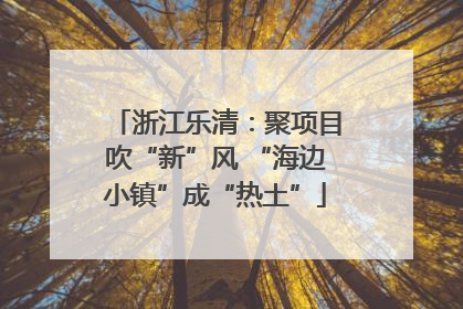 浙江乐清：聚项目吹“新”风 “海边小镇”成“热土”