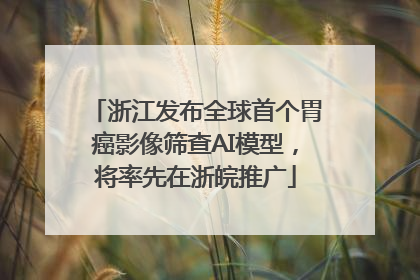 浙江发布全球首个胃癌影像筛查AI模型，将率先在浙皖推广