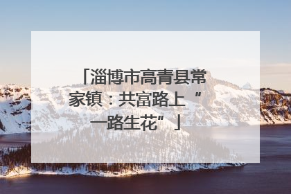 淄博市高青县常家镇：共富路上“一路生花”