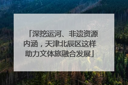深挖运河、非遗资源内涵，天津北辰区这样助力文体旅融合发展