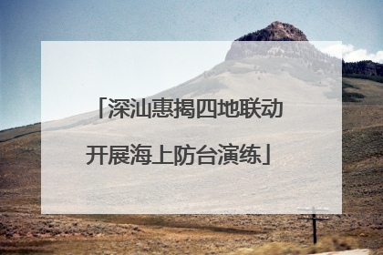 深汕惠揭四地联动开展海上防台演练