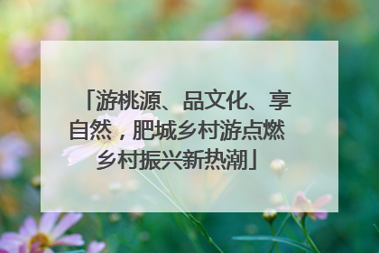 游桃源、品文化、享自然，肥城乡村游点燃乡村振兴新热潮