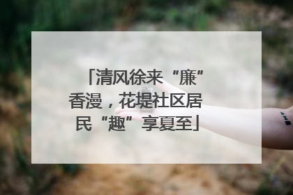 清风徐来“廉”香漫，花堤社区居民“趣”享夏至