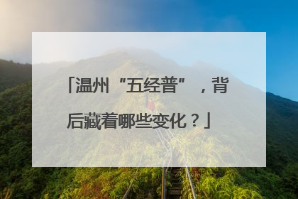 温州“五经普”，背后藏着哪些变化？