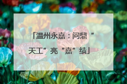 温州永嘉：问鼎“天工”亮“嘉”绩