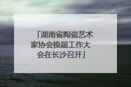 湖南省陶瓷艺术家协会换届工作大会在长沙召开