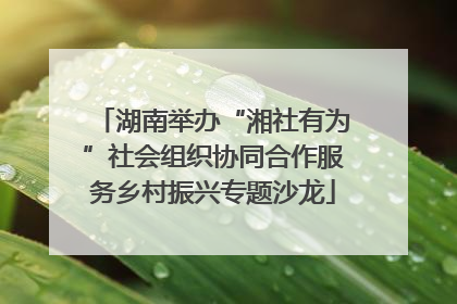 湖南举办“湘社有为”社会组织协同合作服务乡村振兴专题沙龙
