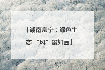 湖南常宁：绿色生态 “风”景如画