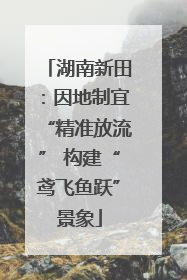 湖南新田：因地制宜“精准放流” 构建“鸢飞鱼跃”景象