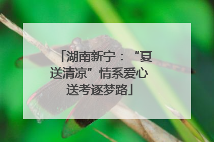 湖南新宁：“夏送清凉”情系爱心送考逐梦路