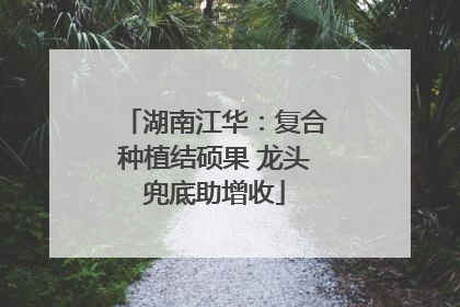 湖南江华：复合种植结硕果 龙头兜底助增收