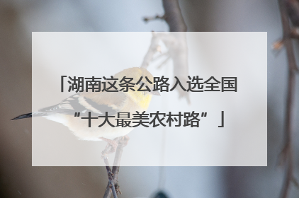 湖南这条公路入选全国“十大最美农村路”