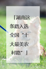 湖南这条路入选全国“十大最美农村路”
