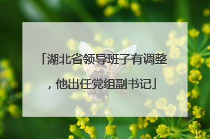 湖北省领导班子有调整，他出任党组副书记