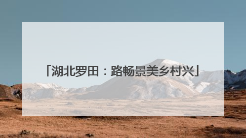 湖北罗田：路畅景美乡村兴