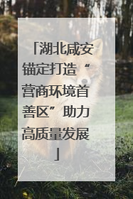 湖北咸安锚定打造“营商环境首善区”助力高质量发展
