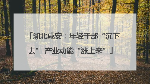 湖北咸安：年轻干部“沉下去” 产业动能“涨上来”