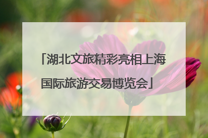 湖北文旅精彩亮相上海国际旅游交易博览会