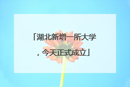 湖北新增一所大学，今天正式成立