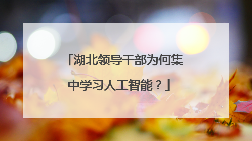湖北领导干部为何集中学习人工智能？