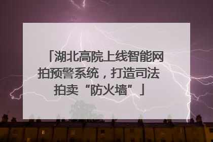 湖北高院上线智能网拍预警系统，打造司法拍卖“防火墙”