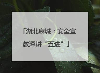 湖北麻城：安全宣教深耕“五进”