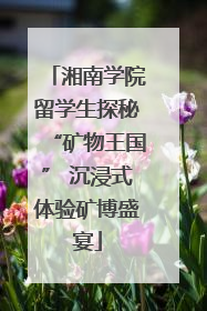 湘南学院留学生探秘“矿物王国” 沉浸式体验矿博盛宴