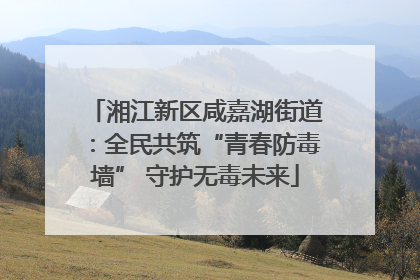 湘江新区咸嘉湖街道：全民共筑“青春防毒墙” 守护无毒未来