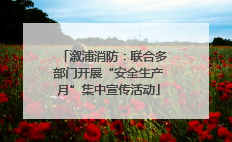 溆浦消防：联合多部门开展“安全生产月”集中宣传活动