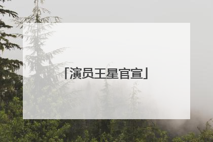 演员王星官宣