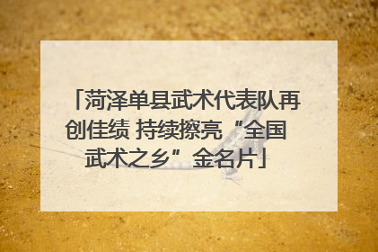 菏泽单县武术代表队再创佳绩 持续擦亮“全国武术之乡”金名片
