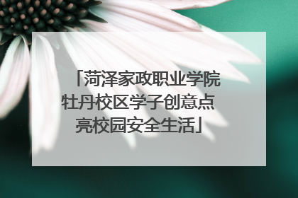 菏泽家政职业学院牡丹校区学子创意点亮校园安全生活