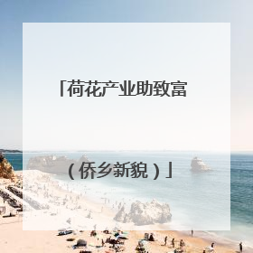 荷花产业助致富（侨乡新貌）