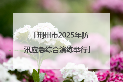 荆州市2025年防汛应急综合演练举行