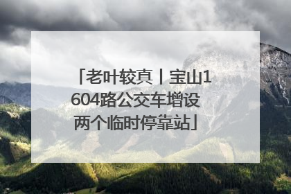 老叶较真丨宝山1604路公交车增设两个临时停靠站