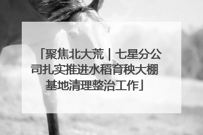 聚焦北大荒｜七星分公司扎实推进水稻育秧大棚基地清理整治工作
