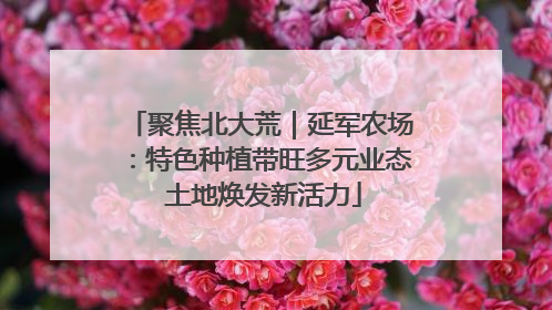聚焦北大荒｜延军农场：特色种植带旺多元业态 土地焕发新活力