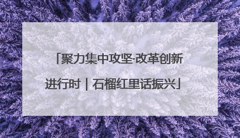 聚力集中攻坚·改革创新进行时｜石榴红里话振兴