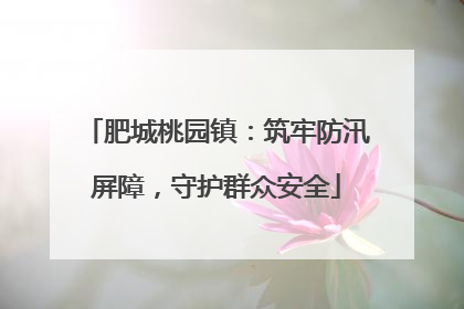 肥城桃园镇：筑牢防汛屏障，守护群众安全