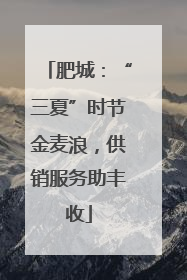肥城：“三夏”时节金麦浪，供销服务助丰收