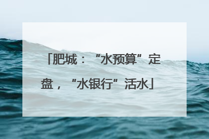 肥城：“水预算”定盘，“水银行”活水