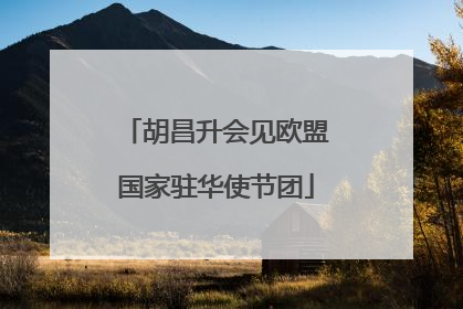 胡昌升会见欧盟国家驻华使节团