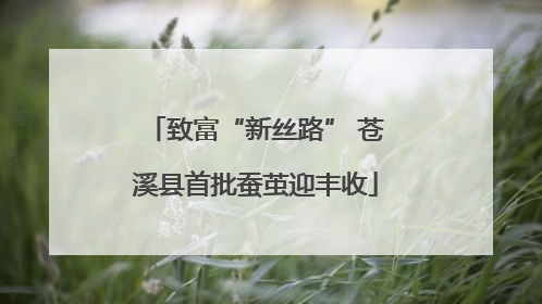 致富“新丝路” 苍溪县首批蚕茧迎丰收